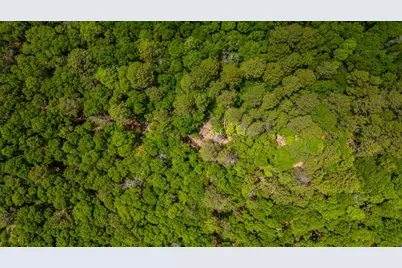 5.31 Ac Xx John Nix Road, Crestview, FL 32539 - Photo 11