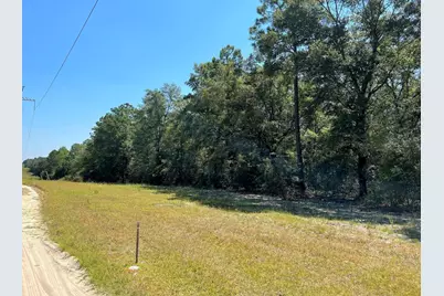 10.7 Acres Juniper Lake Road, Defuniak Springs, FL 32433 - Photo 3
