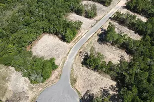 Lot 7 Black Bear Ct, Defuniak Springs, FL 32435 - Photo 1