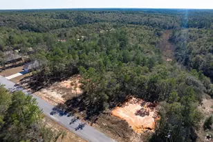Lot 15 Black Bear Ct, Defuniak Springs, FL 32435 - Photo 1