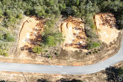 Lot 16 Black Bear Court, Defuniak Springs, FL 32435 - Photo 11