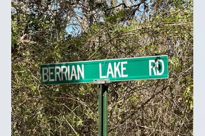 Lot 3 Coon Bottom Estate, Ponce de Leon, FL 32455 - Photo 9