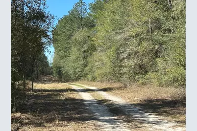 Lot 3 Coon Bottom Estate, Ponce de Leon, FL 32455 - Photo 11