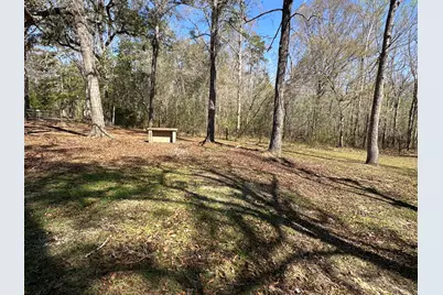 Lot 4 Coon Bottom Estate, Ponce de Leon, FL 32455 - Photo 7