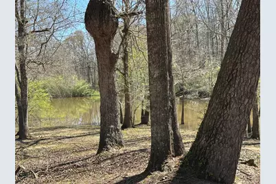 Lot 4 Coon Bottom Estate, Ponce de Leon, FL 32455 - Photo 5