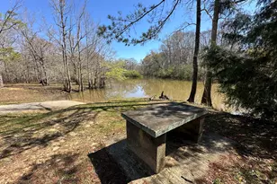 Lot 4 Coon Bottom Estate, Ponce de Leon, FL 32455 - Photo 1