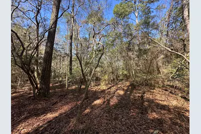 Lot 4 Coon Bottom Estate, Ponce de Leon, FL 32455 - Photo 17