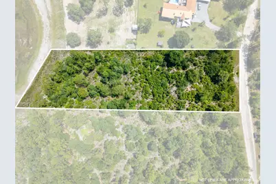 Lot 12 Grassy Pond Road, Chipley, FL 32428 - Photo 1