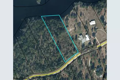 Lot 12 Grassy Pond Road, Chipley, FL 32428 - Photo 5