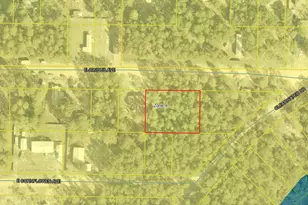 Lot 12 &13 Jonquil East Ave, Defuniak Springs, FL 32433 - Photo 3