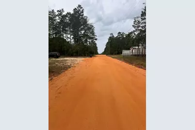 Lot 12 &13 Jonquil East Avenue, Defuniak Springs, FL 32433 - Photo 1