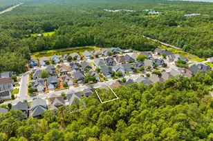 180 Blakely Drew Blvd, Santa Rosa Beach, FL 32459 - Photo 39