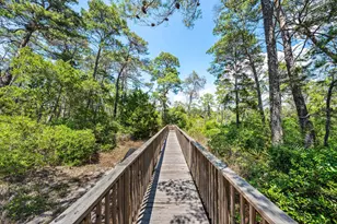 95 W Willow Mist Road W, Inlet Beach, FL 32461 - Photo 59