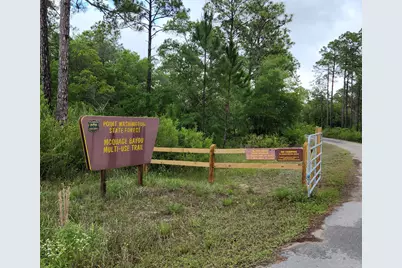 1239 E Point Washington Road E, Santa Rosa Beach, FL 32459 - Photo 49