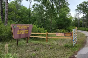 1239 E Point Washington Road E, Santa Rosa Beach, FL 32459 - Photo 49