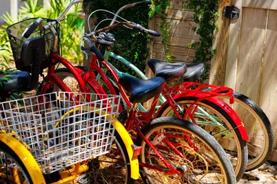 50 Camellia Street, Santa Rosa Beach, FL 32459 - Photo 79