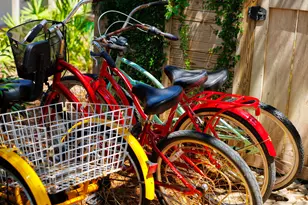 50 Camellia St, Santa Rosa Beach, FL 32459 - Photo 79