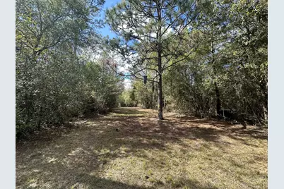 20 Ac Lacey Lane, Crestview, FL 32536 - Photo 3