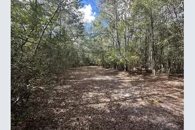 20 Ac Lacey Lane, Crestview, FL 32536 - Photo 9