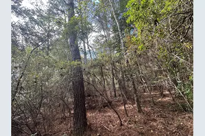 20 Ac Lacey Lane, Crestview, FL 32536 - Photo 7