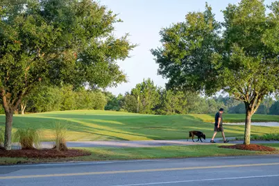 101 E Seabrook Way E #Lot 21, Watersound, FL 32461 - Photo 7