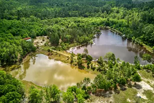 5105 Pasco Broxson Cir, Holt, FL 32564 - Photo 53