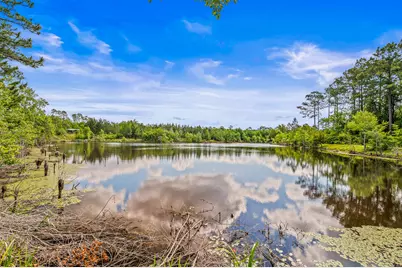 5105 Pasco Broxson Circle, Holt, FL 32564 - Photo 51