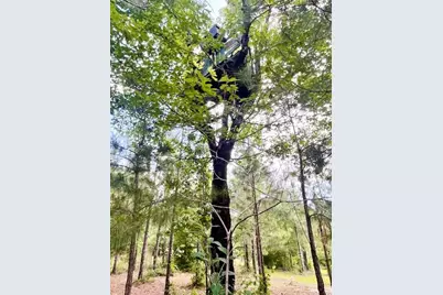 5105 Pasco Broxson Circle, Holt, FL 32564 - Photo 57