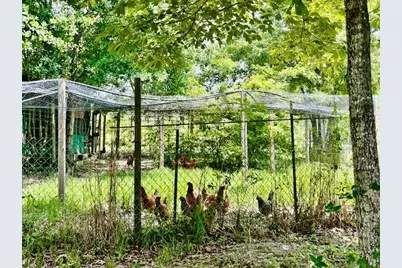 5105 Pasco Broxson Circle, Holt, FL 32564 - Photo 55