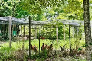 5105 Pasco Broxson Cir, Holt, FL 32564 - Photo 55