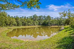 5105 Pasco Broxson Cir, Holt, FL 32564 - Photo 59