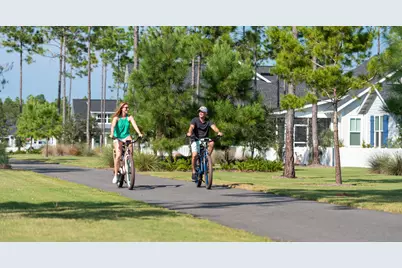 103 Porter Way #Lot 78, Watersound, FL 32461 - Photo 29