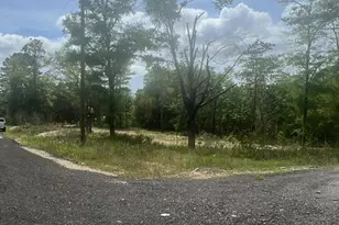 1 94 Acres Lakewood Dr, Defuniak Springs, FL 32435 - Photo 1