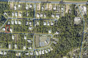 Lot 59 Muzzle St, Freeport, FL 32439 - Photo 5