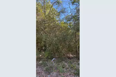 Tbd Painter Branch Road, Crestview, FL 32539 - Photo 5