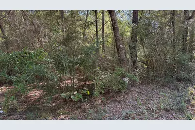 Tbd Painter Branch Road, Crestview, FL 32539 - Photo 1