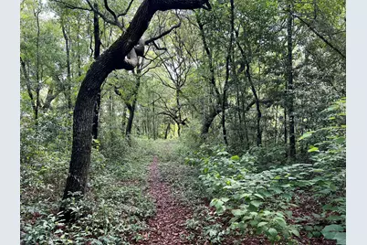 Xx NW Mooney Road NW, Fort Walton Beach, FL 32547 - Photo 17