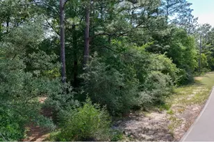 Tbd Brookside Dr, Defuniak Springs, FL 32433 - Photo 1