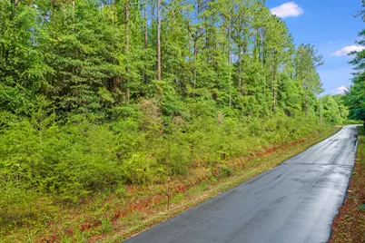 6.12 Ac Clary Road, Laurel Hill, FL 32567 - Photo 3