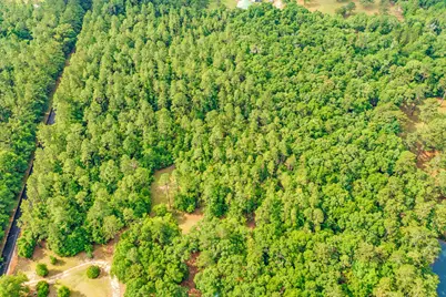 6.12 Ac Clary Road, Laurel Hill, FL 32567 - Photo 7