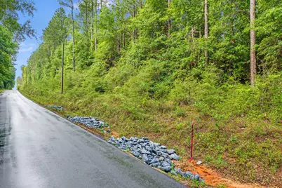 6.12 Ac Clary Road, Laurel Hill, FL 32567 - Photo 5