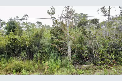 Lot 38 W Casa Grande W, Santa Rosa Beach, FL 32459 - Photo 3