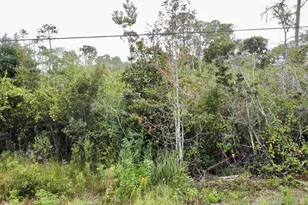 Lot 38 W Casa Grande W, Santa Rosa Beach, FL 32459 - Photo 3