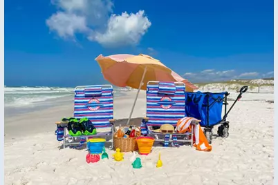 224 Sandhill Pines Drive, Santa Rosa Beach, FL 32459 - Photo 45