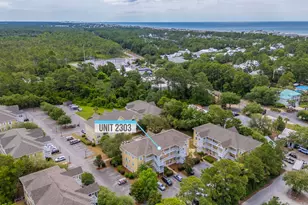 34 Heron's Watch Way, Santa Rosa Beach, FL 32459 - Photo 41