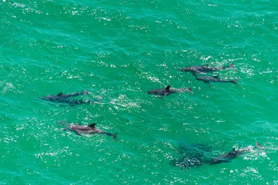 16819 Front Beach Road #UNIT 104, Panama City Beach, FL 32413 - Photo 53