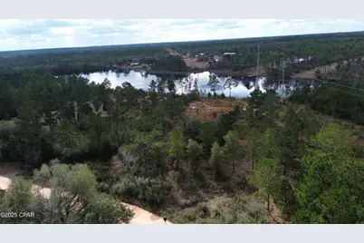 00 McPherson Drive, Alford, FL 32420 - Photo 3