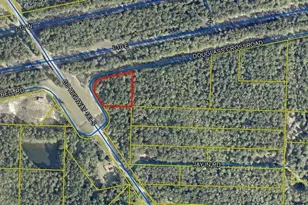 Xxx Douglass Crossroad, Defuniak Springs, FL 32435 - Photo 1