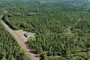 604 Charles Booker Rd, Baker, FL 32531 - Photo 3