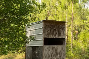 604 Charles Booker Rd, Baker, FL 32531 - Photo 11